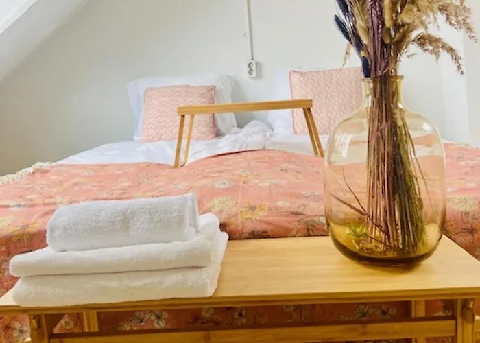 4P Apt With Rooftop Terrace At Piushaven Centrum